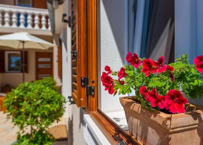 - Zadar Riviera 8218